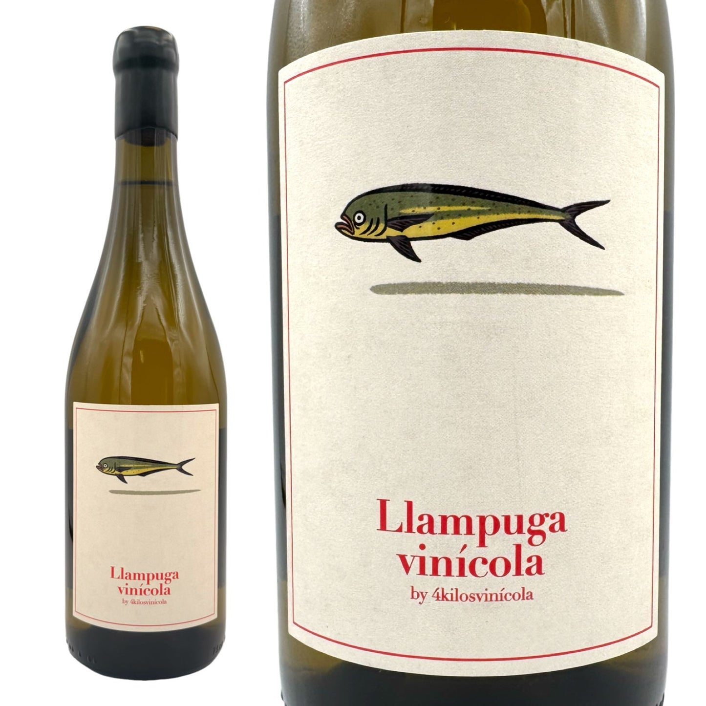 2024 ヤンプガ / クアトロ キロス ビニコラ