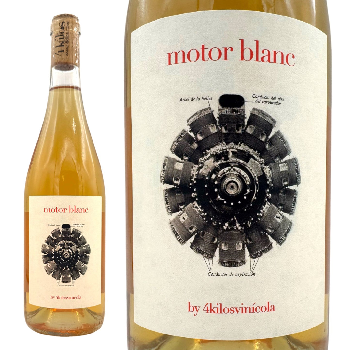 2023 モトール ブラン / クアトロ キロス ビニコラ