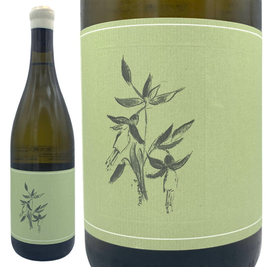 2023 リボッラジャッラ ベンジヤー ヴィンヤード ナパヴァレー / アルノー ロバーツ