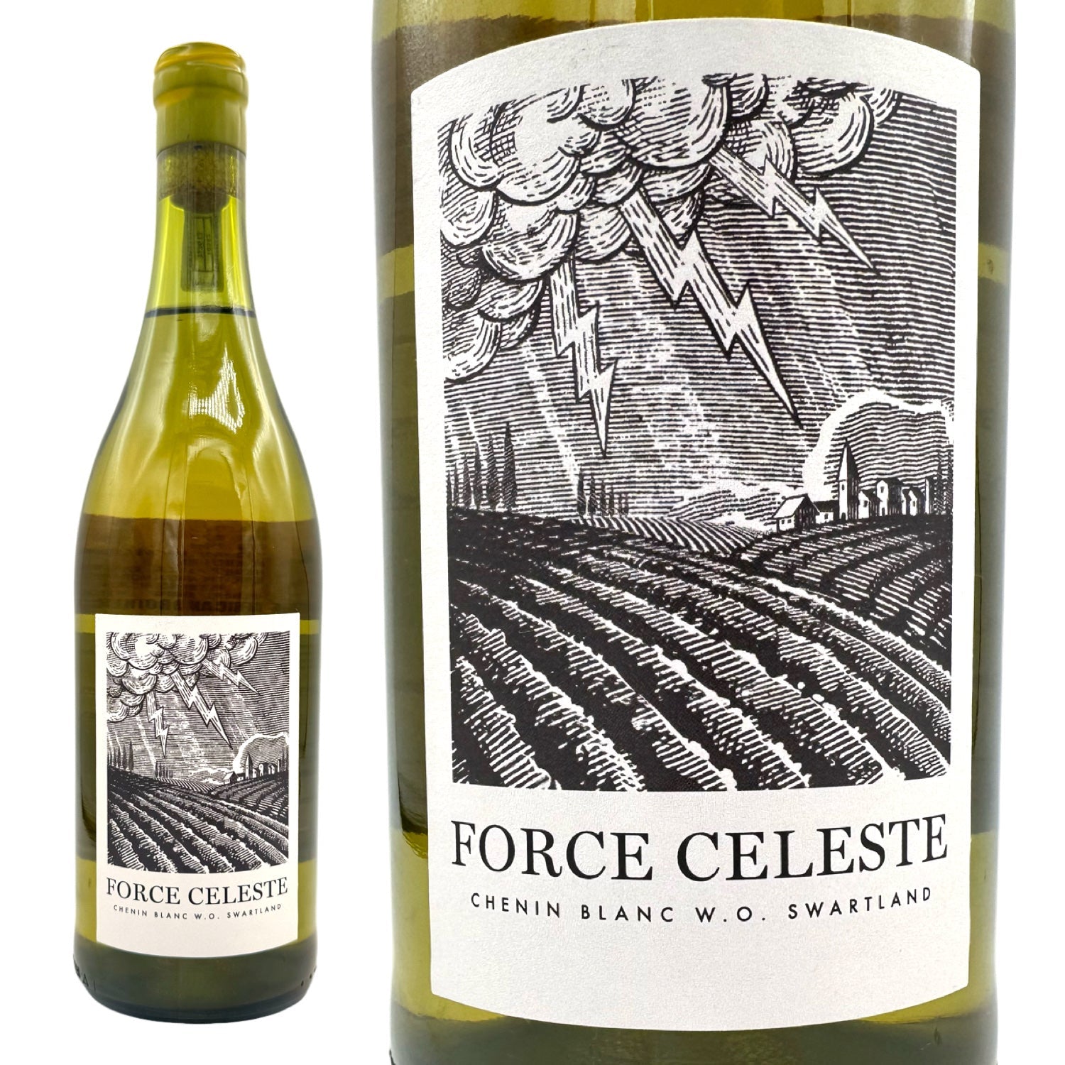 all wine – WINE BROTHERS