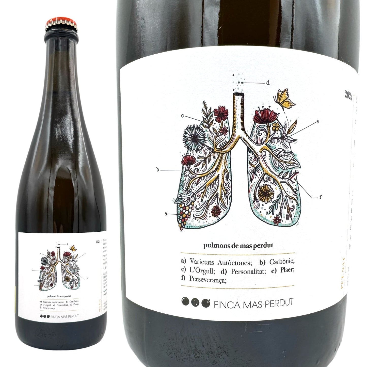 2024 プルモ デ マス ペルデュ / フィンカ マスペルデュ