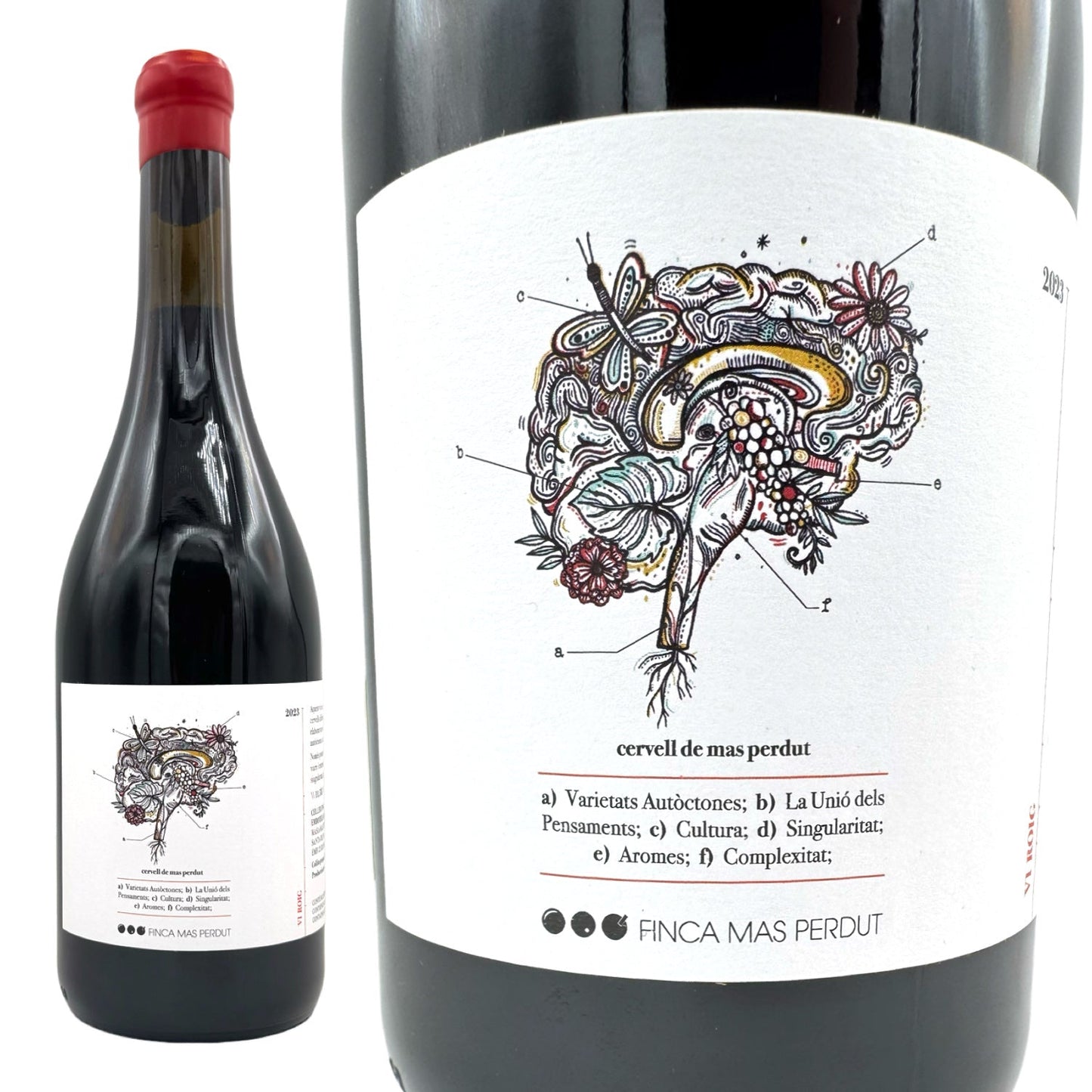 2022 セルベル デ マス ペルデュ / フィンカ マスペルデュ