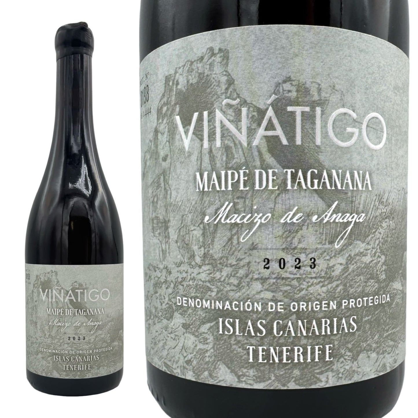 2023 マイペ デ タガナナ / ボデガス ビニャティゴ