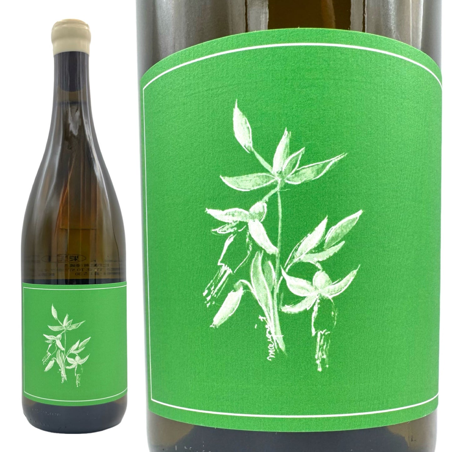 2023 ソーヴィニヨンブラン ランドルヒル ヴィンヤード ヨークヴィルハイランズ / アルノー ロバーツ