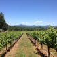 2023 ガメイ ノワール エルドラード / アルノー ロバーツ
