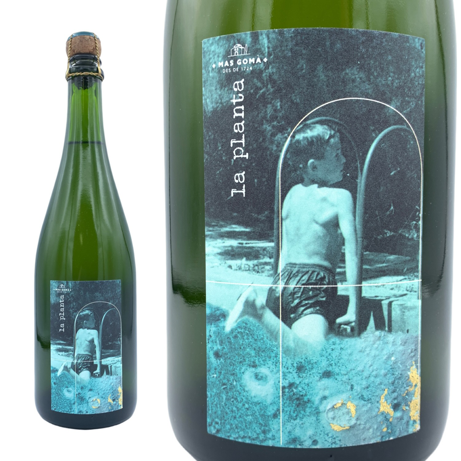 ワイン La Ricmlma 2022 ラ プランタ ブリュット ナチュラル / マス ゴマ – WINE BROTHERS